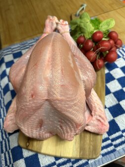 Kalkoen heel Prijs per kilo &euro;11.75