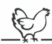 Pulled chickenhaasjes